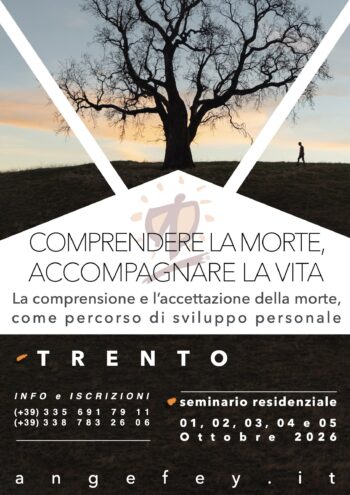 COMPRENDERE TN 1026